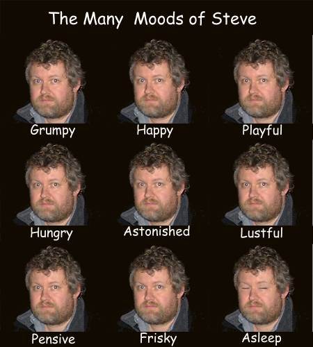 The Many Moods of Steve
